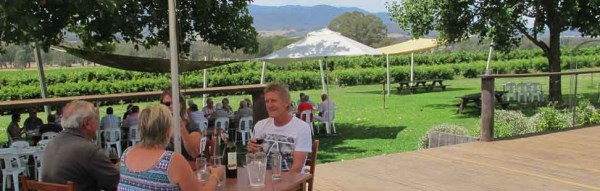 Gracebrook vinyard outdoors