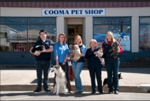 Pet shop point of sale